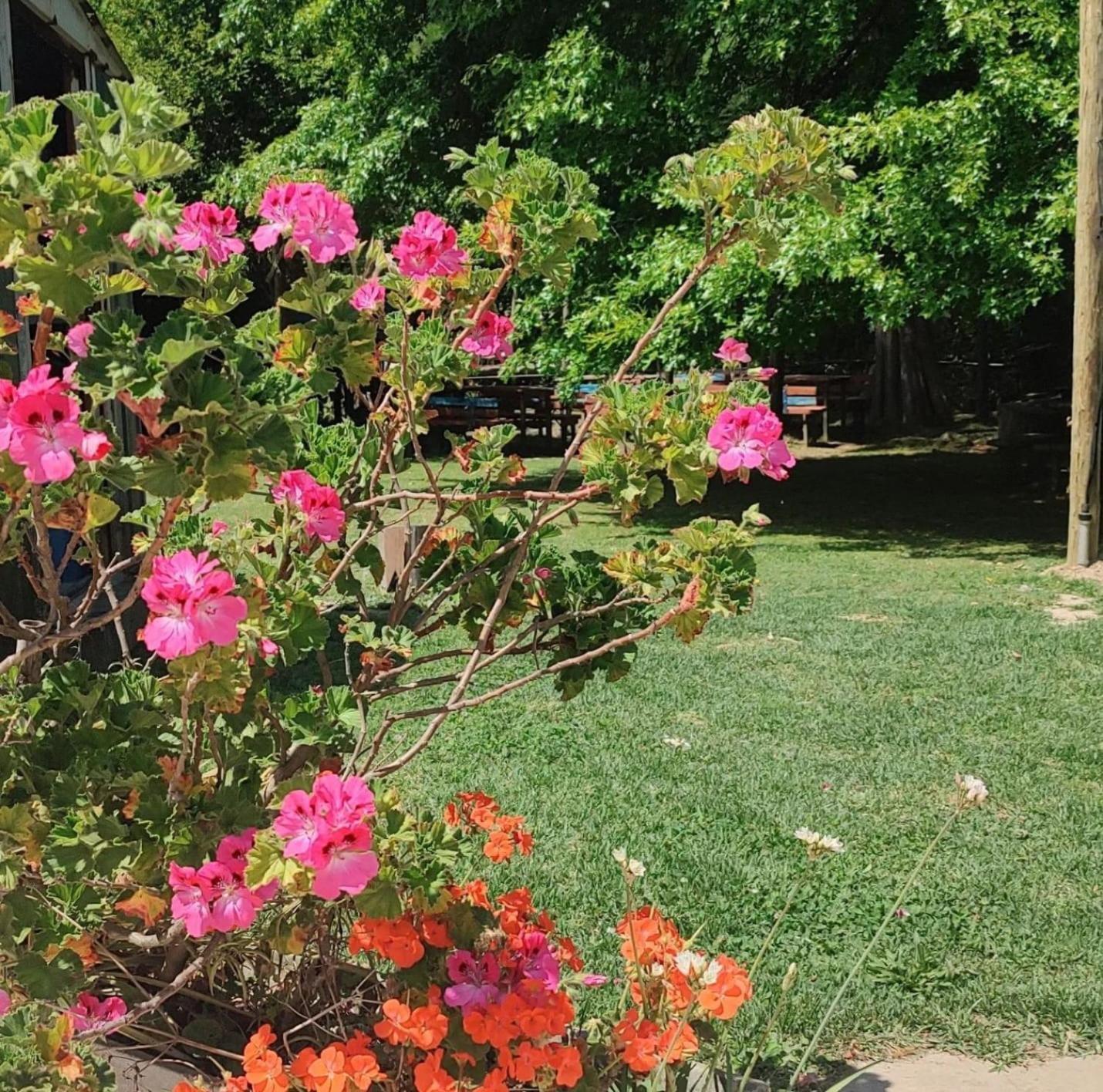 Cabanas Faro Delta Тигре Экстерьер фото